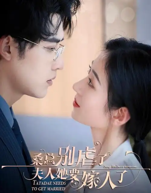 十九楼的夏天青春校园剧全集手机观看